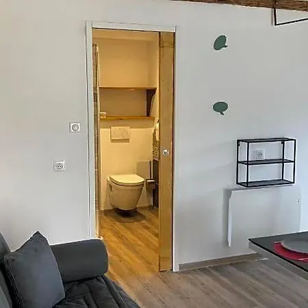 Apartamento La Grange Des Riders Saint-Lary-Soulan